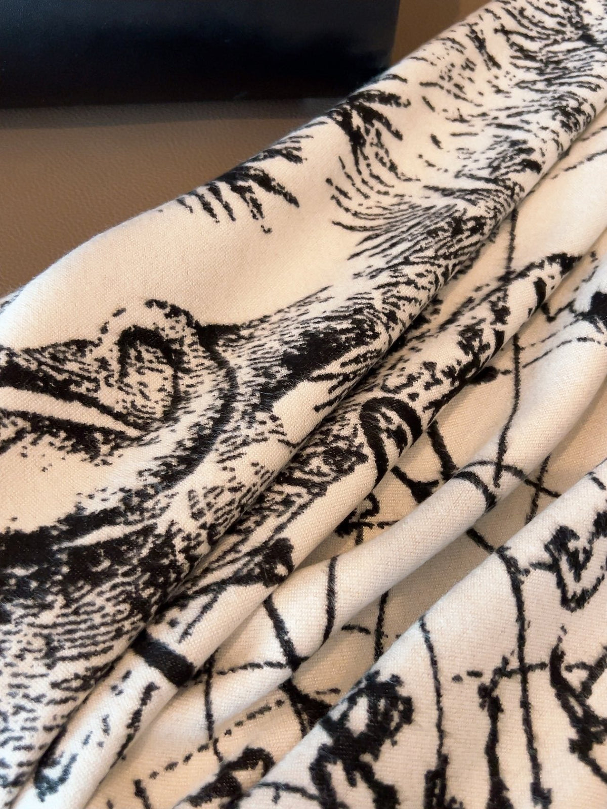 Dior Toile Print Fringed Shawl — detail
